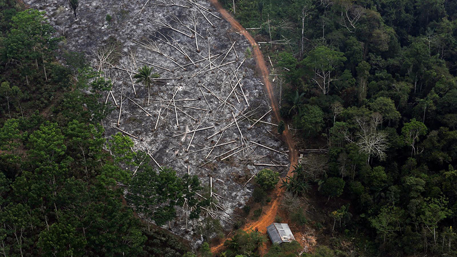 CFMB manifesta preocupação com a situação da Amazônia